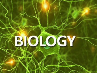 Biology-tuition
