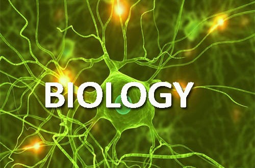 Biology-tuition