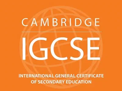cambridge igcse tuition