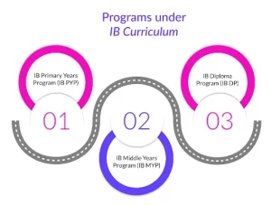 IB Tuition