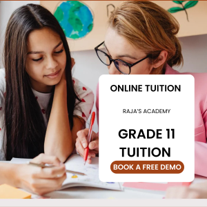 Grade 11 Tuition