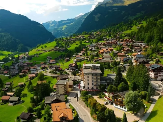 Online Tuition for Switzerland Students