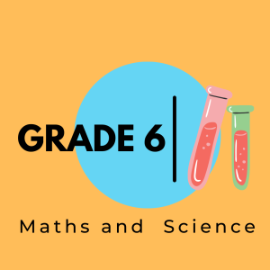 Grade-6