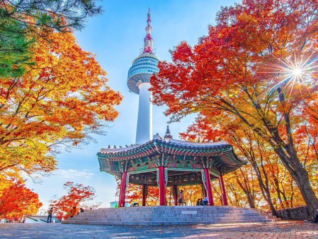 Online CBSE  Tuition Seoul