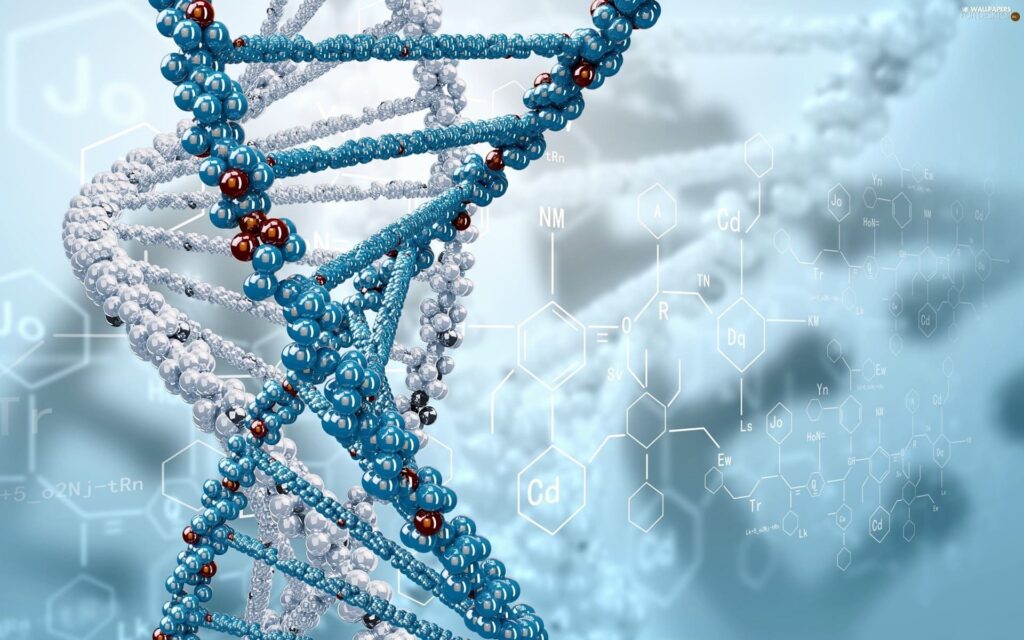 Expert Biology Tuition Tailored for Grades 8–12