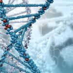 Expert Biology Tuition Tailored for Grades 8–12