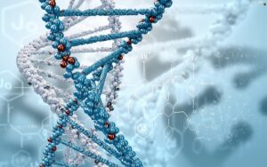 Expert Biology Tuition Tailored for Grades 8–12