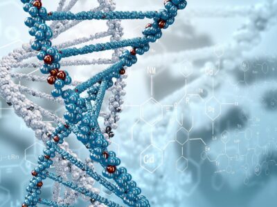 Expert Biology Tuition Tailored for Grades 8–12
